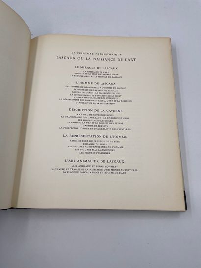 null 1 Volume : "LA PEINTURE PRÉHISTORIQUE - LASCAUX OU LA NAISSANCE DE L'ART", Georges...