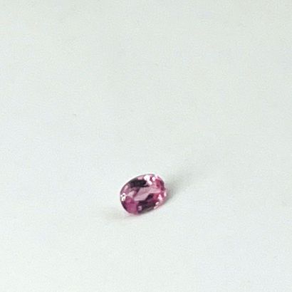 椭圆形刻面的粉色蓝宝石，重0.33克拉。尺寸：0.5 x 0.3厘米