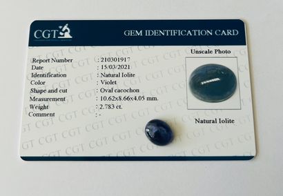 null Iolite cabochon size weighing 2.78 cts - Probable origin TANZANIA Dimensions...