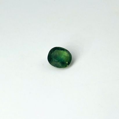 null Saphir vert ovale pesant 2.91 cts.