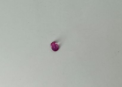 null Saphir rose taille ovale facettée pesant 0,33 ct. Dimensions : 0,5 x 0,3 cm
