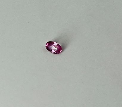 null Saphir rose taille ovale facettée pesant 0,33 ct. Dimensions : 0,5 x 0,3 cm
