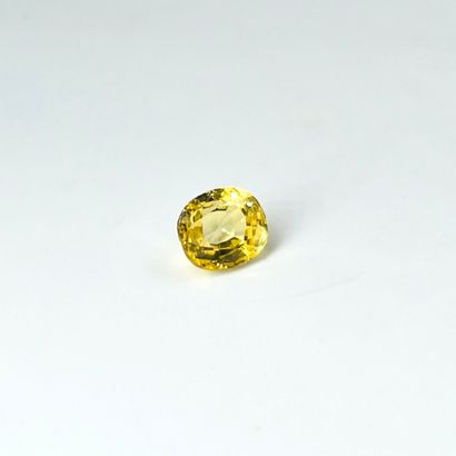 null Yellow cushion sapphire weighing 4.80 cts.