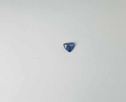 null Trillion cut Tanzanite weighing 1.41 cts