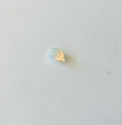 null 
*

Oval cabochon opal weighing 2.71 cts - From ETHIOPIA - Unheated - Untreated.

Dimensions...