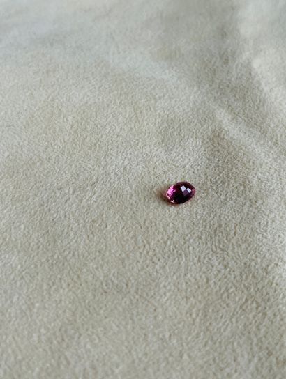 null Faceted oval pink tourmaline weighing 1.06 cts - Probable provenance MOZAMBIQUE...