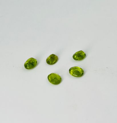 null Lot de 5 péridots ovales facettés pesant 17,3 carats total. (égrisures)