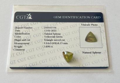 null Sphene trillion size weighing 3.70 cts - Probable provenance MADAGASCAR - Unheated...