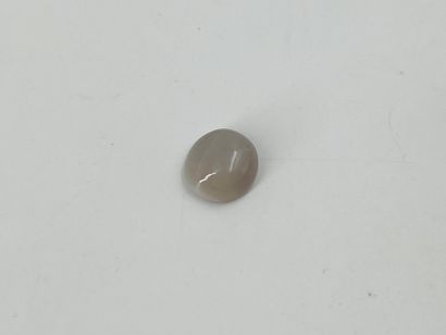 null Cabochon d’opale pesant 7,60 cts. Avec sa carte d’authenticité GJSPC.