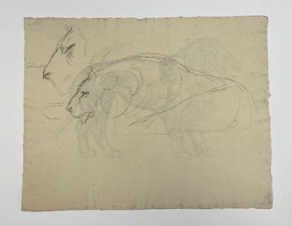 null "Lion" - Attribué à Émile Marie Beaume 

Dessin au fusain sur papier, avec esquisse...
