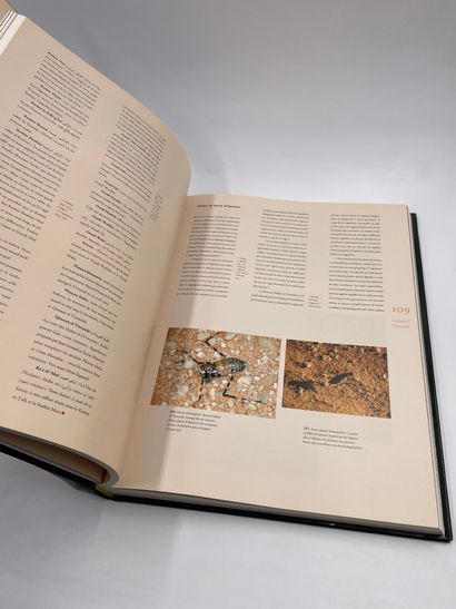 null 1 Volume : "Peinture et Gravures d'Avant les Pharaons, Du Sahara au Nil", Jean-Loïc...