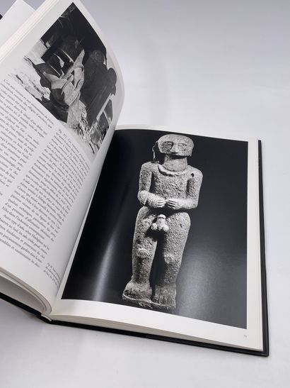 null 1 Volume : "Messages de Pierre", (Statues et Sculptures de l'Indonésie Primitive...