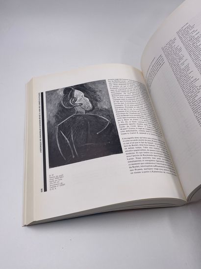 null 2 Volumes : "Les Demoiselles d'Avignon 3", Volume 1 et Volume 2, Paris Musée...