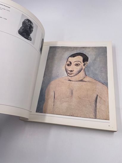 null 1 Volume : "Picasso, Œuvres Reçues en Paiement des Droits de Succession", Grand...