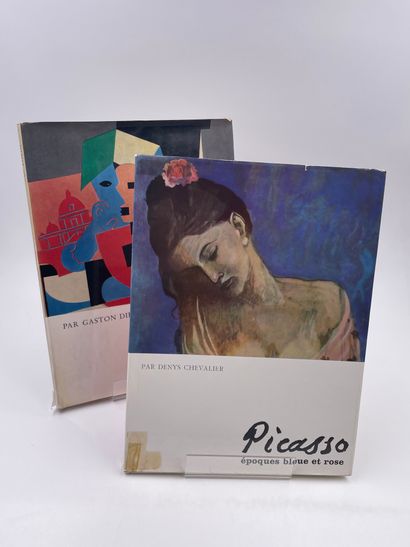 null 2 Volumes : 
- "Picasso", Gaston Diehl, Ed. Flammarion, Envoi / Dessin par Gaston...