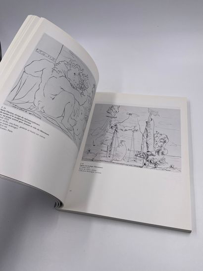 null 1 Volume : "Picasso sous le Soleil de Mithra", Jean Chair, Musée Picasso Paris,...