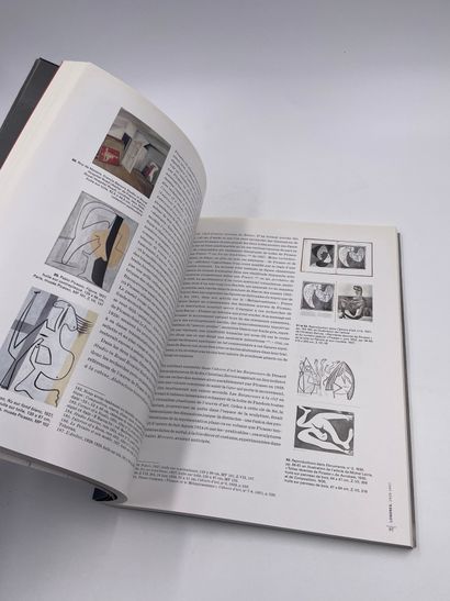 null 1 Volume : "Bacon - Picasso, La Vie des Images", Anne Baldassari, Ed. Flammarion,...