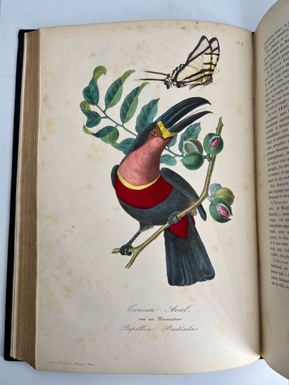 Le Maout, Emm. # Les trois règnes de la nature. Histoire naturelle des oiseaux suivant...