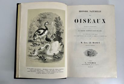 Le Maout, Emm. # Les trois règnes de la nature. Histoire naturelle des oiseaux suivant...