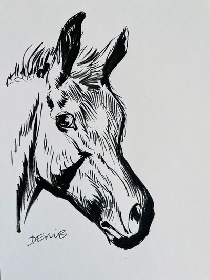 Derib * Les chevaux : Portfolio numéroté (25/630, accompagné d'un dessin original)...
