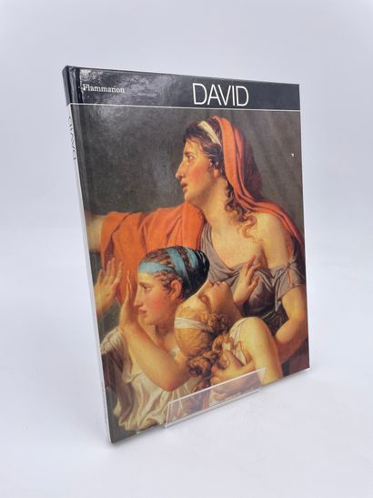 null 1 Volume : "David", Bernard Noël, Ed. Flammarion, 1989