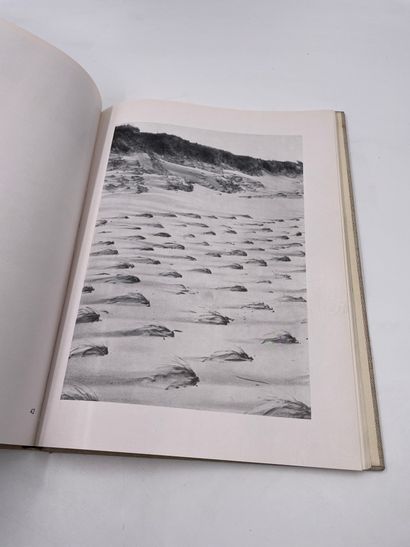 null 1 Volume: "See Sand Sonne", Arvid Gutschow, Mit Einer Einleitung von Hans Leip,...