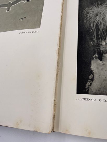 null 1 Volume: "Das Deutsche Lichtbild Jahresschau 1928/29", Unseren deutschen und...