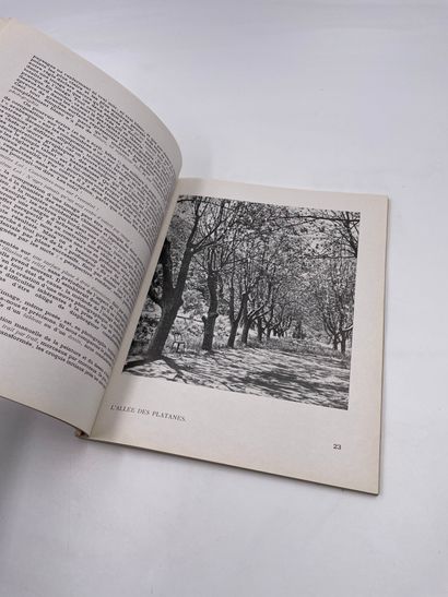null 1 Volume : "Le Paysage en Photographie", (Esthétique - Technique), Daniel Masclet,...