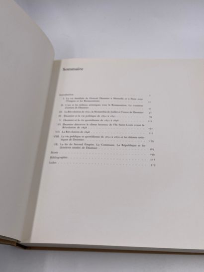 null 1 Volume : "Daumier, Témoin de son Temps", Roger Passeron, Ed. Bibliothèque...