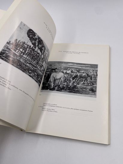 null "Catalogue Raisonné de l'Œuvre Gravé et Lithographié de Yves Brayer", Pierre...