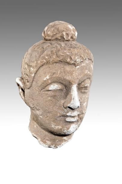 ART GRECO-BOUDDHIQUE DU GANDHARA (Ier - Vème siècle) Tête de Bouddha, surmontée d'une...