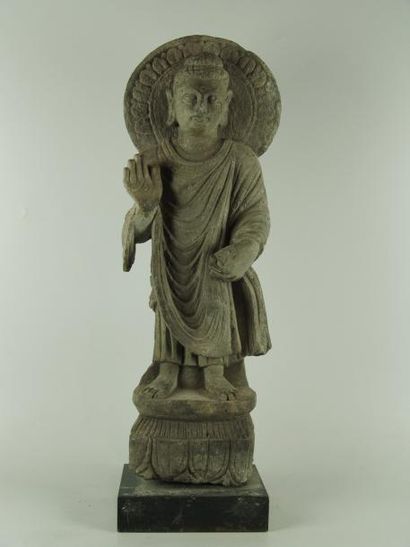 ART GRECO-BOUDDHIQUE DU GANDHARA (Ier - Vème siècle) Bouddha auréolé debout sur un...
