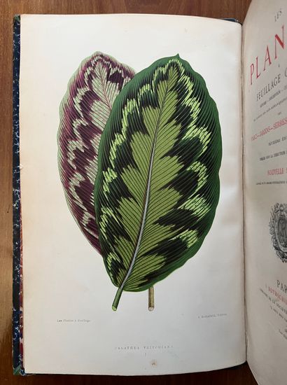 null Les plantes
Paris, chez J. Rotschild 1872. In-4. Dos à caissons, pièce de t...