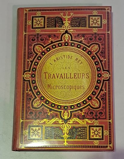 null Ensemble de 6 cartonnages Hetzel "aux bibliothèques". 1) P. Gouzy, Voyage d'une...