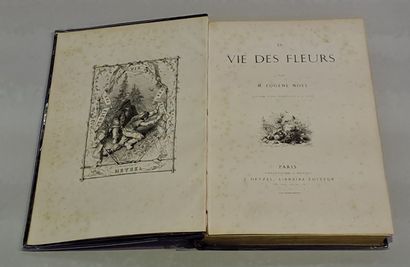 null Ensemble de 3 cartonnages Hetzel. 1) Victor Hugo, Le livre des mères, les enfants,...