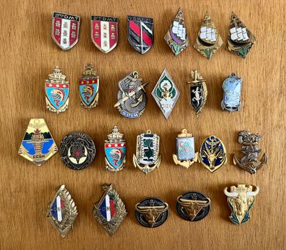 24 insignia of the Colonial troops in the...