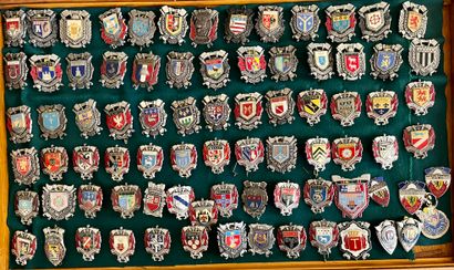 81 firefighter badges
