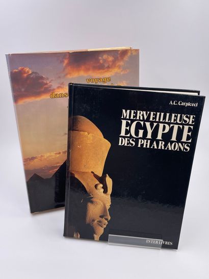 2卷。 
- 法老的埃及之旅》（Journey in the Egypt of the...