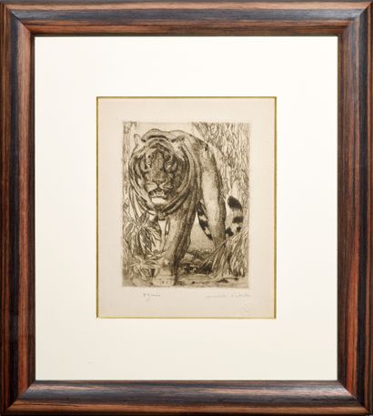 Paul JOUVE (1878-1973) Tigre marchant de face, vers 1935
Eau-forte et aquatinte sur...