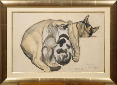 Paul JOUVE (1878-1973) Chatte et ses petits, 1952
Crayon, estompe et aquarelle sur...