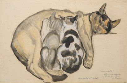 Paul JOUVE (1878-1973) Chatte et ses petits, 1952
Crayon, estompe et aquarelle sur...