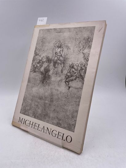 null «Michelangelo», Maria Vittoria Brugnoli, Ed. Aldo martello editore, livre en...