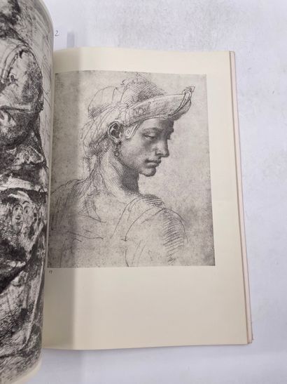 null «Michelangelo», Maria Vittoria Brugnoli, Ed. Aldo martello editore, livre en...