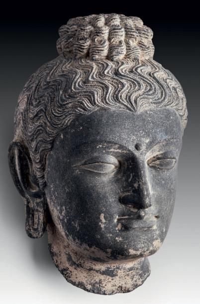 ART GRECO-BOUDDHIQUE DU GANDHARA (Ier - Vème siècle) Tête de Bouddha à la chevelure...