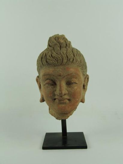 ART GRECO-BOUDDHIQUE DU GANDHARA (Ier - Vème siècle) Tête de Bouddha à la coiffure...
