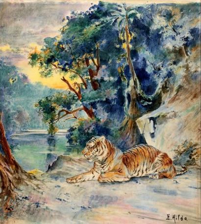 E. Baily HILDA (XIXe-XXe) Le repos du tigre dans la jungle Aquarelle