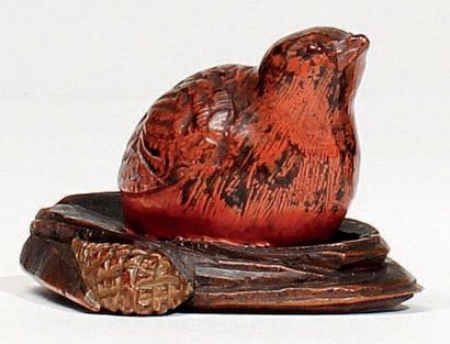 JAPON - Epoque MEIJI (1868 - 1912) Netsuke en bois laqué rouge et brun, caille posée...