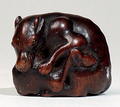 JAPON - Epoque EDO (1603 - 1868) Netsuke en bois, loup assis en bois avec un cuissot....