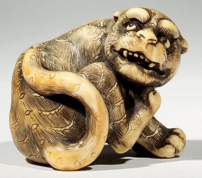 JAPON - Epoque EDO (1603 - 1868) Netsuke en ivoire, tigre assis se grattant avec...