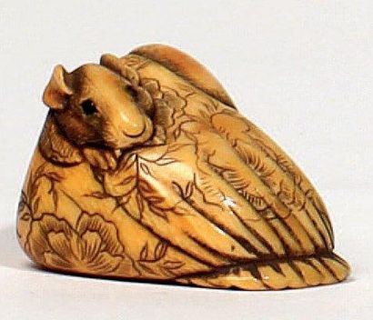 JAPON - Epoque EDO (1603 - 1868) Netsuke en ivoire à patine jaune, rongeur couché...